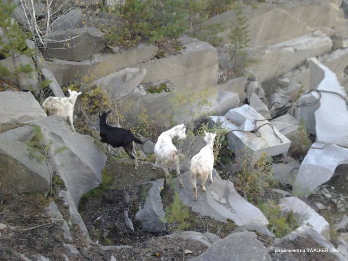 Карьер по добыче камня, Свердловская область Карьер по добыче камня, Свердловская область