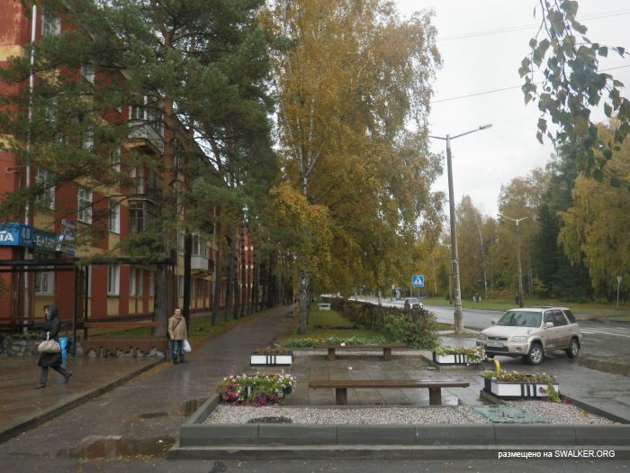 С любовью к Новосибирску. Академгородок