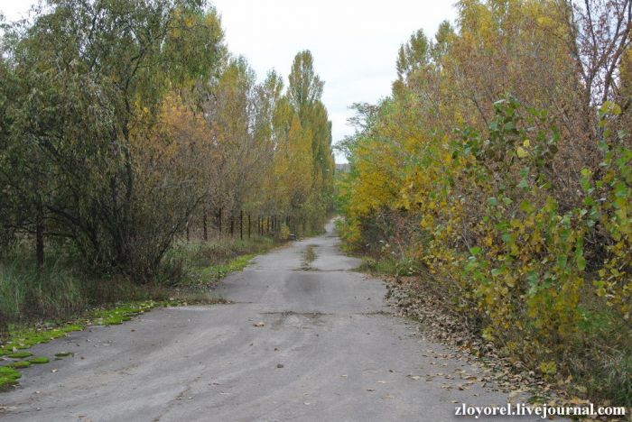 Чернобыльская Зона Отчуждения, осень 2013 Чернобыльская Зона Отчуждения, осень 2013