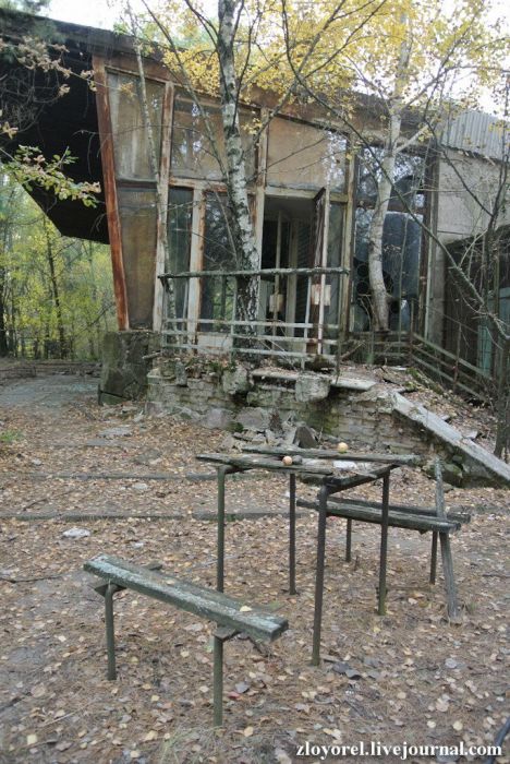 Чернобыльская Зона Отчуждения, осень 2013 Чернобыльская Зона Отчуждения, осень 2013