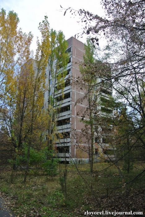 Чернобыльская Зона Отчуждения, осень 2013 Чернобыльская Зона Отчуждения, осень 2013