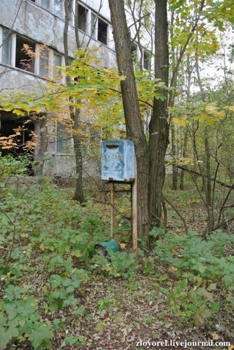 Чернобыльская Зона Отчуждения, осень 2013 Чернобыльская Зона Отчуждения, осень 2013