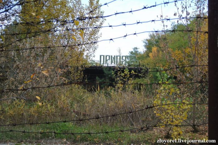 Чернобыльская Зона Отчуждения, осень 2013 Чернобыльская Зона Отчуждения, осень 2013