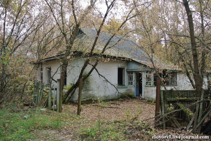 Чернобыльская Зона Отчуждения, осень 2013 Чернобыльская Зона Отчуждения, осень 2013