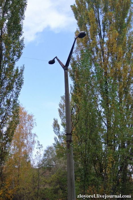 Чернобыльская Зона Отчуждения, осень 2013 Чернобыльская Зона Отчуждения, осень 2013
