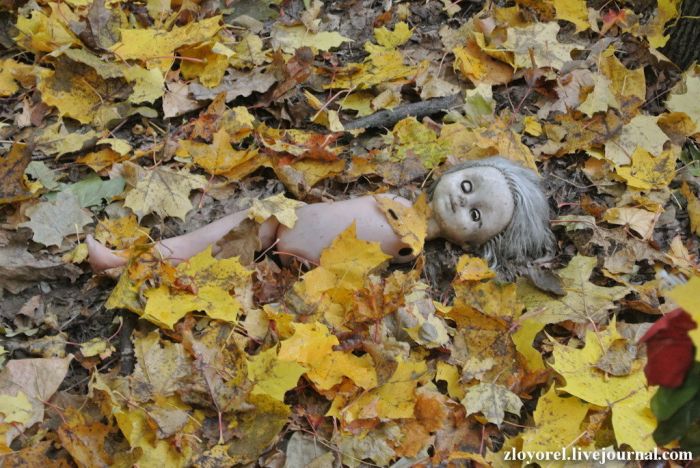Чернобыльская Зона Отчуждения, осень 2013 Чернобыльская Зона Отчуждения, осень 2013