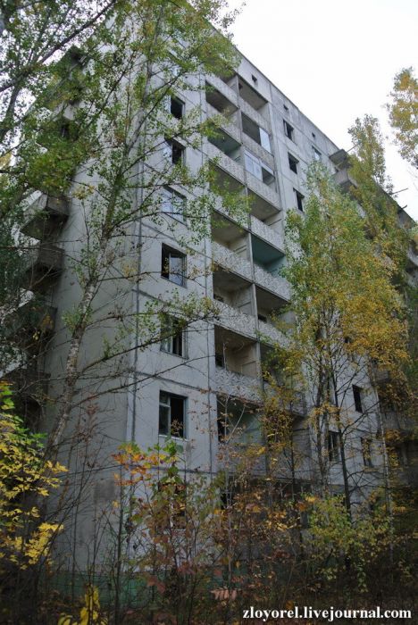 Чернобыльская Зона Отчуждения, осень 2013 Чернобыльская Зона Отчуждения, осень 2013