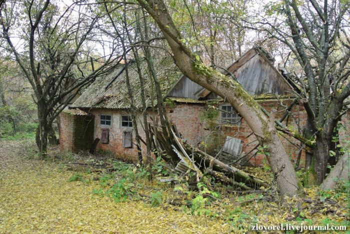 Чернобыльская Зона Отчуждения, осень 2013 Чернобыльская Зона Отчуждения, осень 2013
