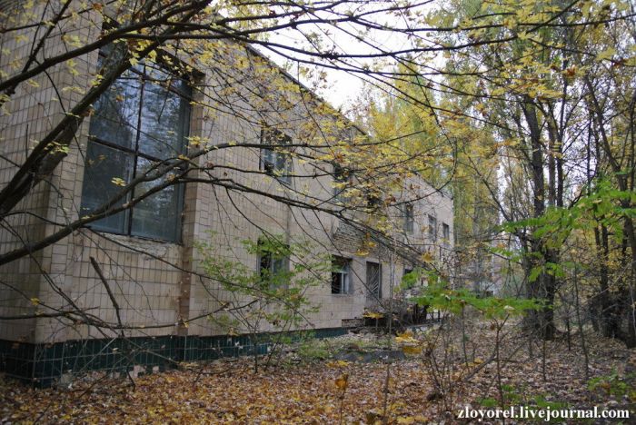 Чернобыльская Зона Отчуждения, осень 2013 Чернобыльская Зона Отчуждения, осень 2013