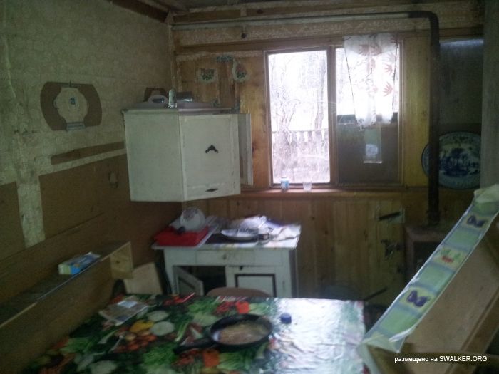 Заброшенный пионерский лагерь СОЛНЫШКО