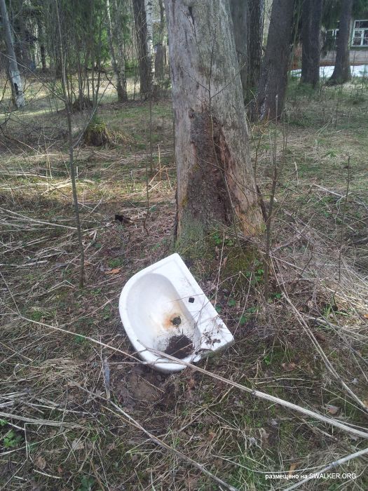 Заброшенный пионерский лагерь СОЛНЫШКО