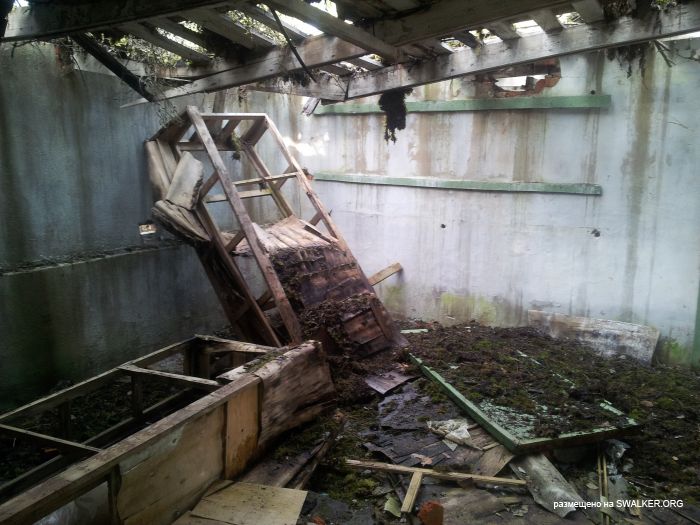Заброшенный пионерский лагерь СОЛНЫШКО