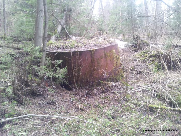 Заброшенный пионерский лагерь СОЛНЫШКО