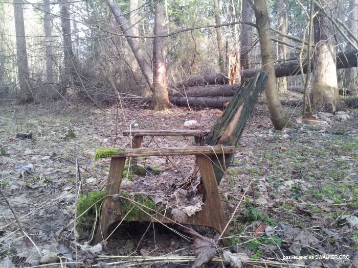 Заброшенный пионерский лагерь СОЛНЫШКО