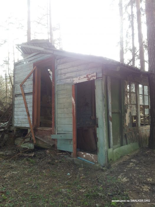 Заброшенный пионерский лагерь СОЛНЫШКО