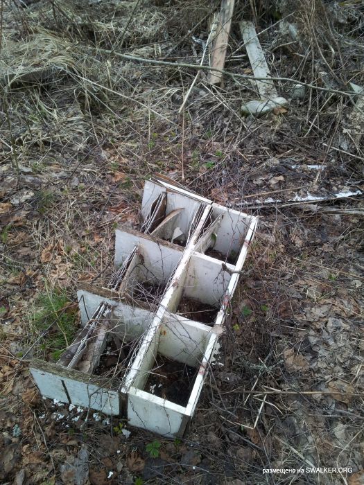 Заброшенный пионерский лагерь СОЛНЫШКО