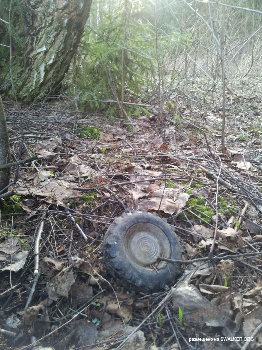 Заброшенный пионерский лагерь СОЛНЫШКО