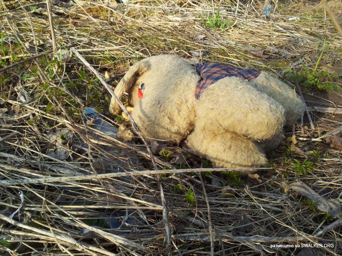 Заброшенный пионерский лагерь СОЛНЫШКО