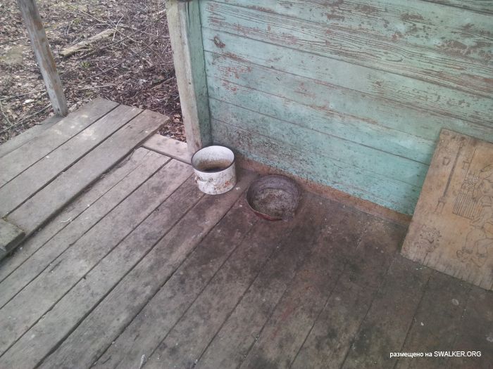 Заброшенный пионерский лагерь СОЛНЫШКО