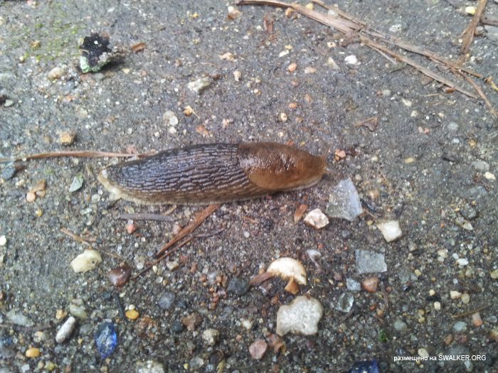 Дом отдыха, Московская область