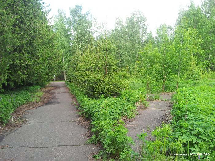 Дом отдыха, Московская область