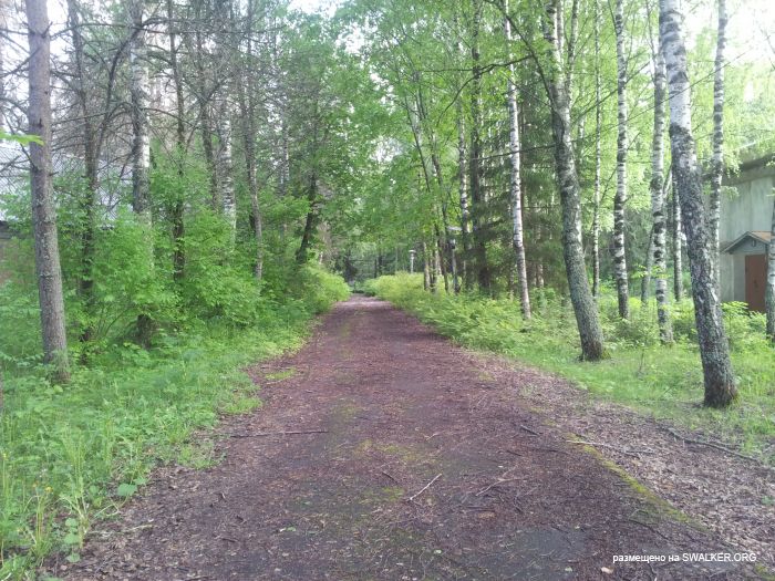 Дом отдыха, Московская область