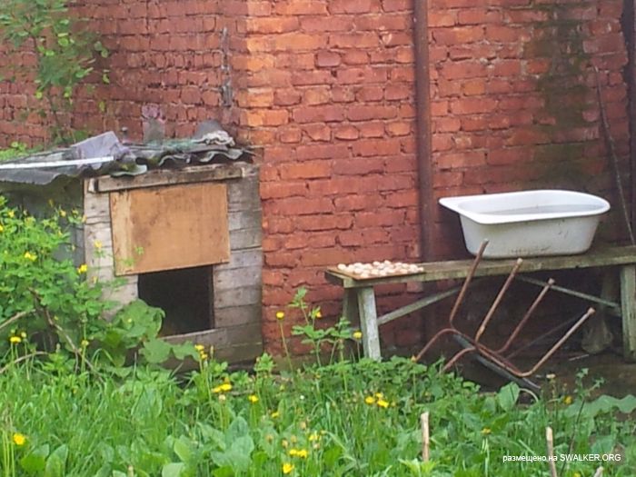 Дом отдыха, Московская область