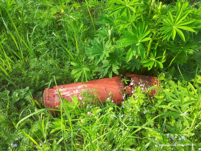 Дом отдыха, Московская область