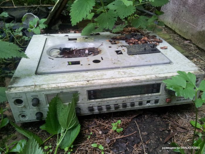 Дом отдыха, Московская область