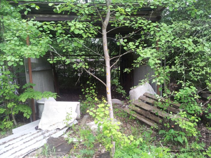 Дом отдыха, Московская область