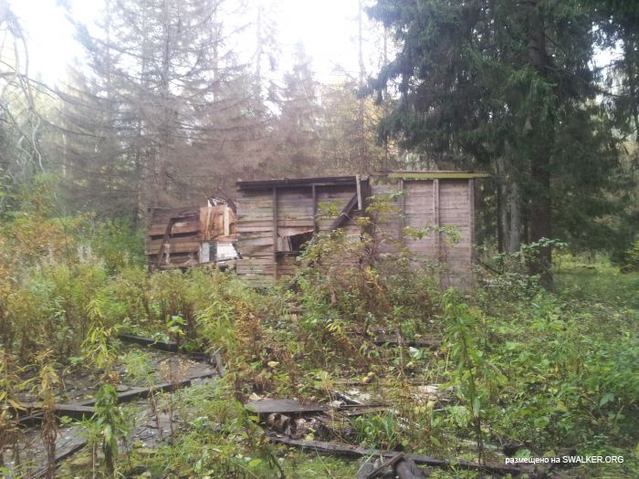 Безымянный лагерь, Московская область