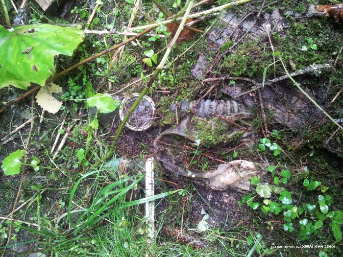 Безымянный лагерь, Московская область