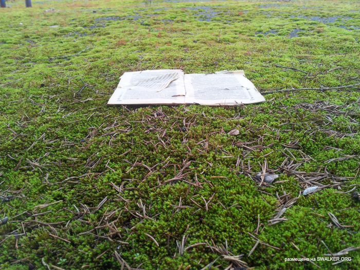 Брошенная военная позиция С-25