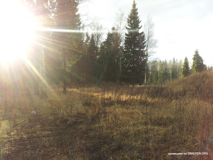 Брошенная военная позиция С-25