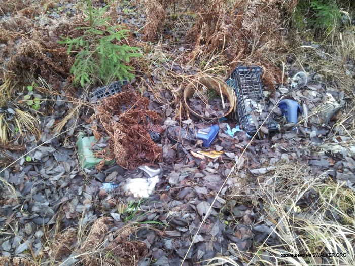 Брошенная военная позиция С-25