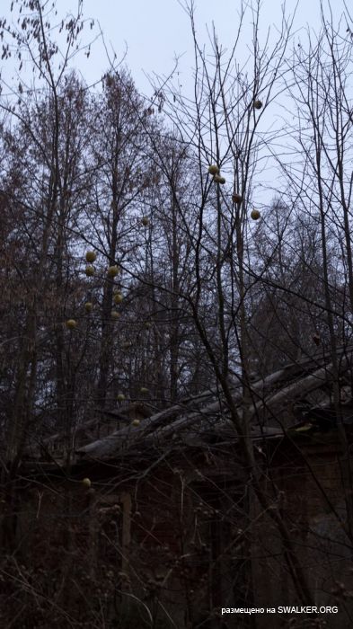 Степановское-Павлищево, версия 2