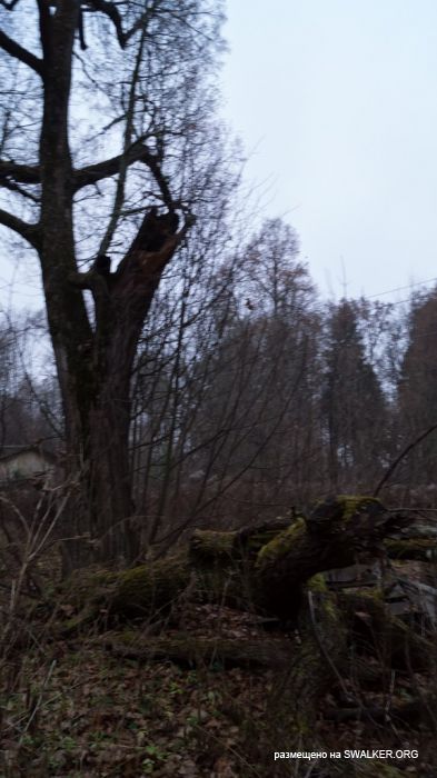 Степановское-Павлищево, версия 2