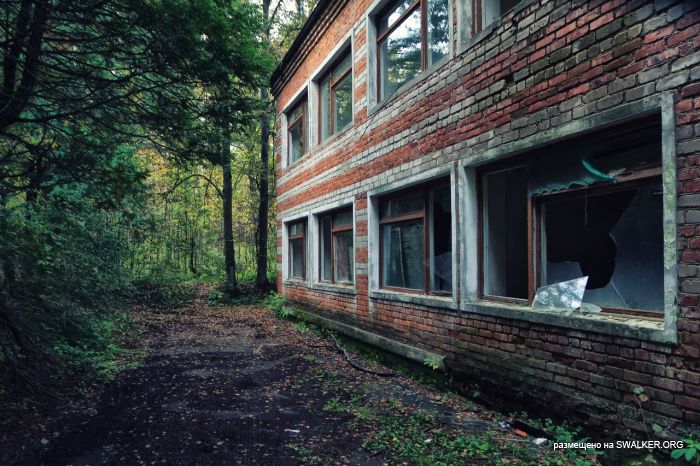 Лагерь Солнечная поляна