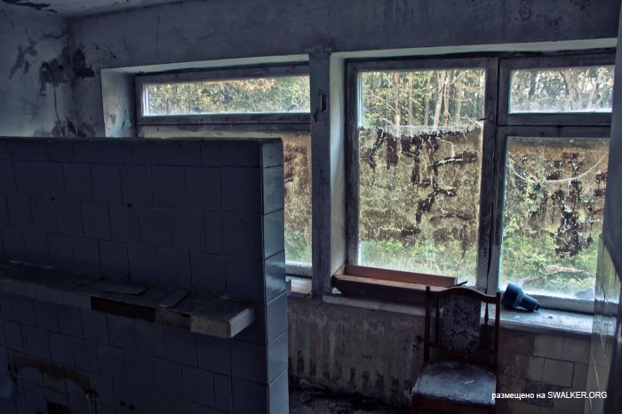 Лагерь Солнечная поляна