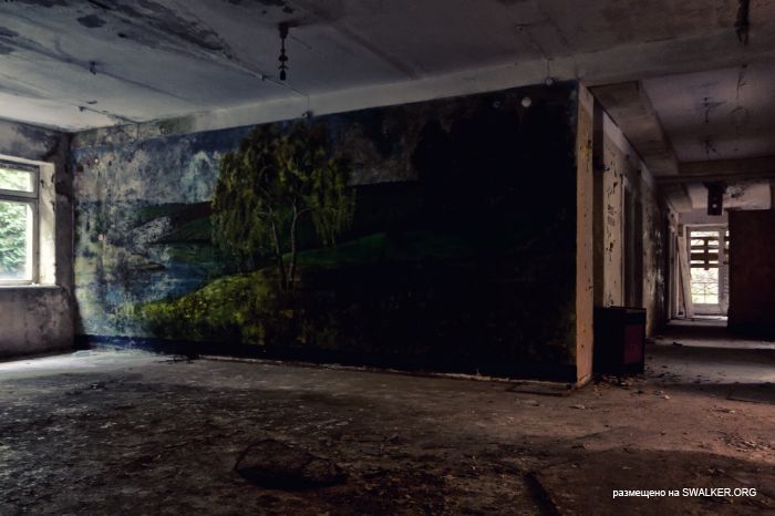 Лагерь Солнечная поляна