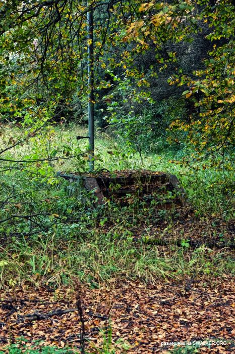 Лагерь Солнечная поляна