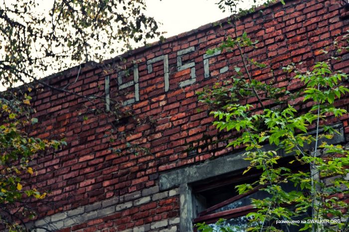 Лагерь Солнечная поляна