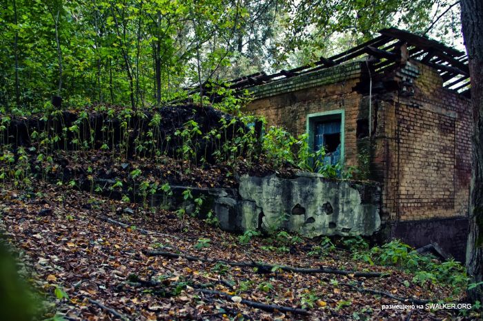 Лагерь Солнечная поляна