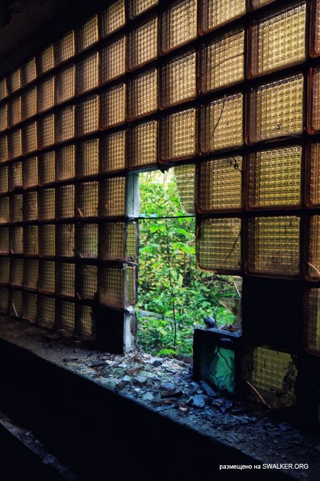 Лагерь Солнечная поляна