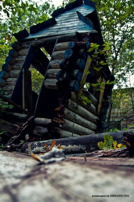 Лагерь Солнечная поляна