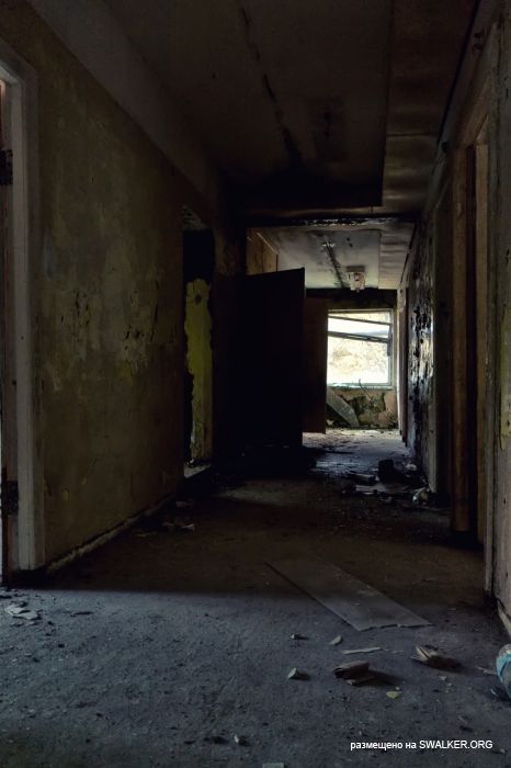 Лагерь Солнечная поляна