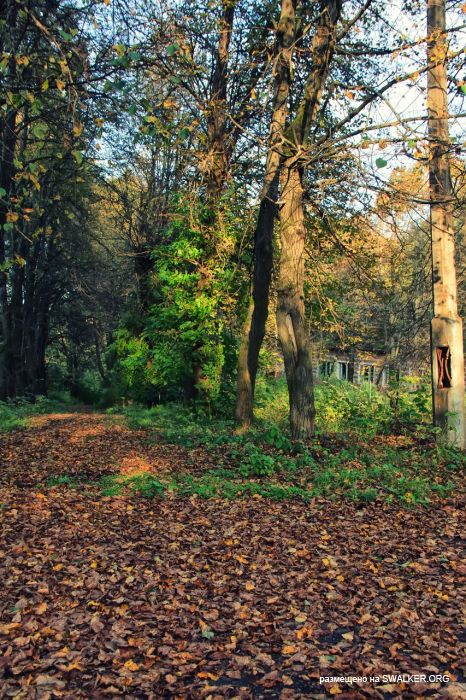 Лагерь Солнечная поляна