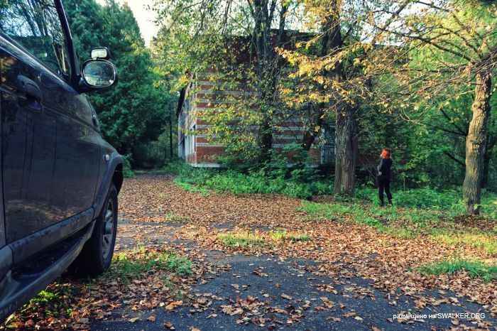 Лагерь Солнечная поляна