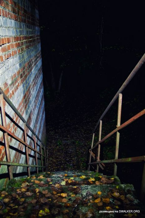 Лагерь Солнечная поляна