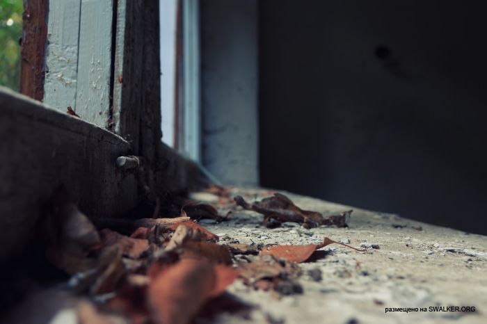 Лагерь Солнечная поляна